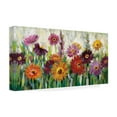 thumbnail image 3 of Trademark Fine Art Silvia Vassileva Jewel Daisy Gerbera Canvas Wall Art - 24x47, 3 of 5