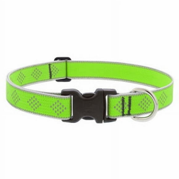 1x16-28" GD Dog Collar -48153