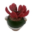 thumbnail image 2 of Flores de Resina, Maceteros de Plástico, Artificial para Navidad, Jardín, Handicrafts, Decoración de Flor, Resistente, Durable, para Exterior, Macetero de Suculenta, Estilo Navideño,, 2 of 8
