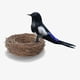 thumbnail image 5 of Simulación de plumas artificiales de espuma para aves, adornos artesanales, foto Urraca, 5 of 8
