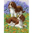 thumbnail image 1 of Carolines Treasures ASA2116GF Welsh Springer Spaniel Pups Flag Garden Size, 1 of 3