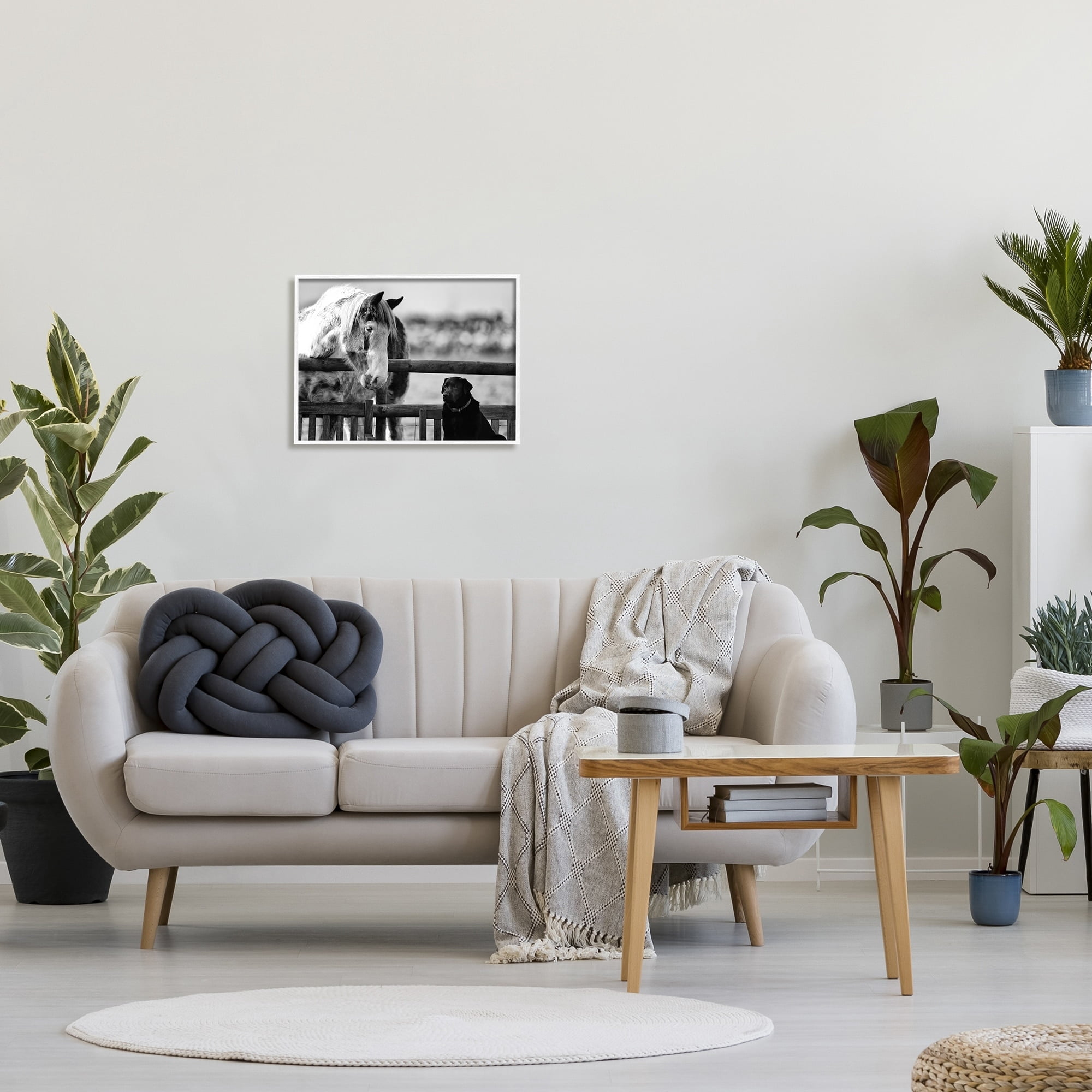 Stupell Industries Dog & Horse Farm Animal Friends Monochrome Photography Photograph White Framed Art Print Wall Art, Design by James Dobson