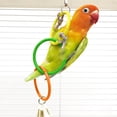 thumbnail image 5 of Bird Climbing Swing Rings Exercise Toy Hanging For Small Lovebirds And Pet Parrots, 5 of 5