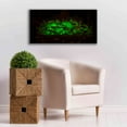 thumbnail image 6 of Epic Graffiti 'Emerald Boom' by Petar Belobrajdic Giclee Canvas Wall Art, 40"x20", 6 of 8
