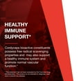 thumbnail image 4 of Protocol Cordyceps 750 mg - Immune Support and Mushroom Supplement - 90 Veg Caps, 4 of 7