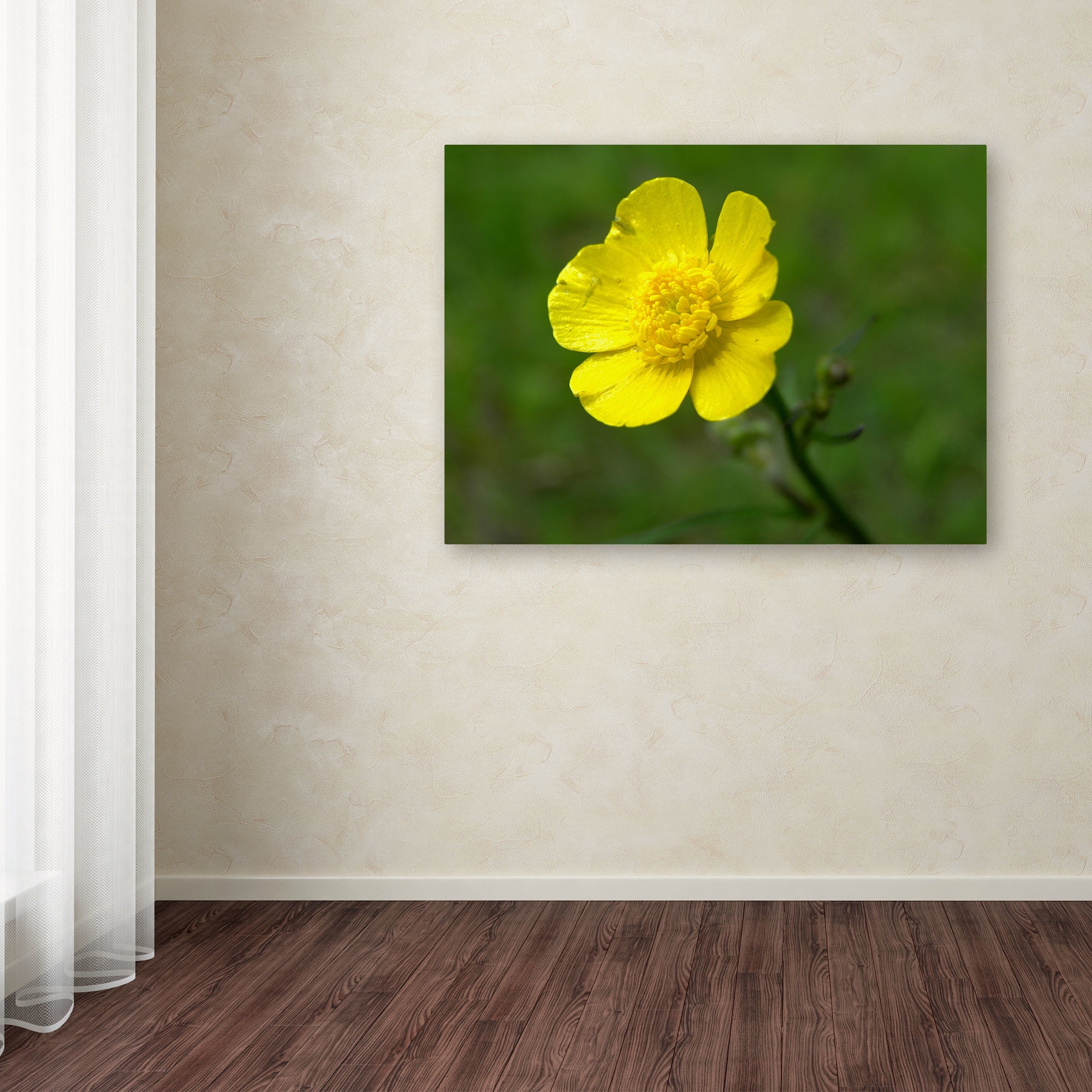 Trademark Fine Art "Unadorned" Canvas Art by Monica Fleet