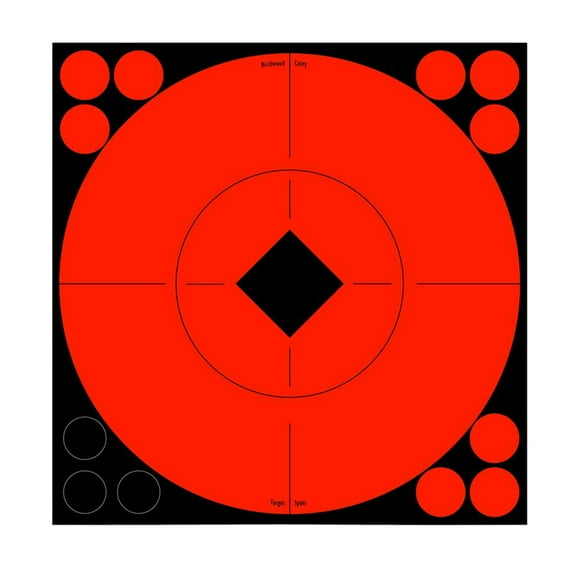 Birchwood Casey Target Spots Orange 8" 8 Bright High-Contrast Convenient Self-Adhesive Bull's Eyes Paper Shooting Targets for Target Practice, 96 Pasters