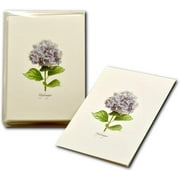 Hydrangea Boxed Note Cards-- Set of 8
