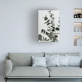 thumbnail image 2 of 1X Studio Iii 'Eucalyptus Natural 07' Canvas Art, 2 of 4