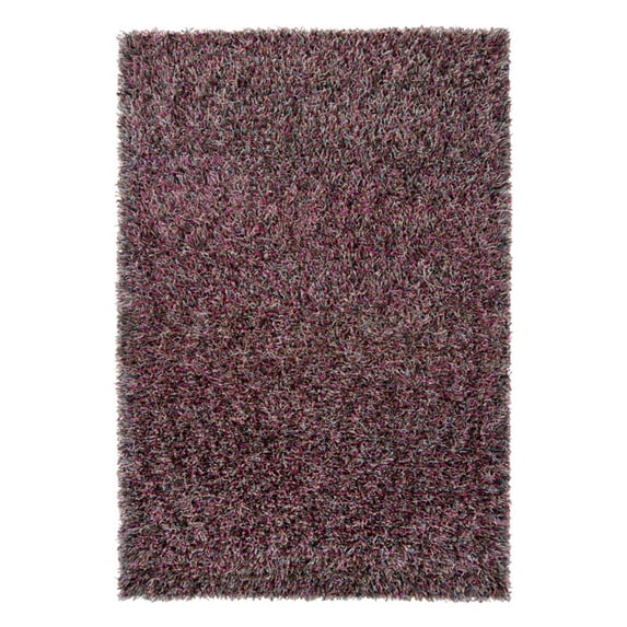 Chandra Astrid AST1430 Indoor Area Rug