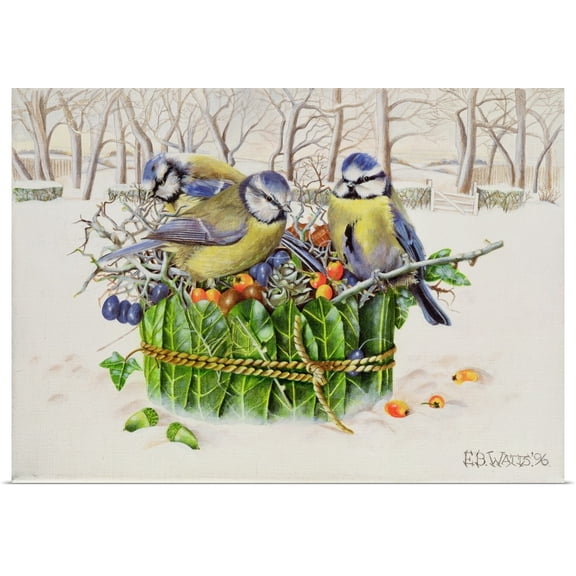 Great BIG Canvas | Rolled E.B. Watts Poster Print entitled Blue Tits in Leaf Nest, 1996