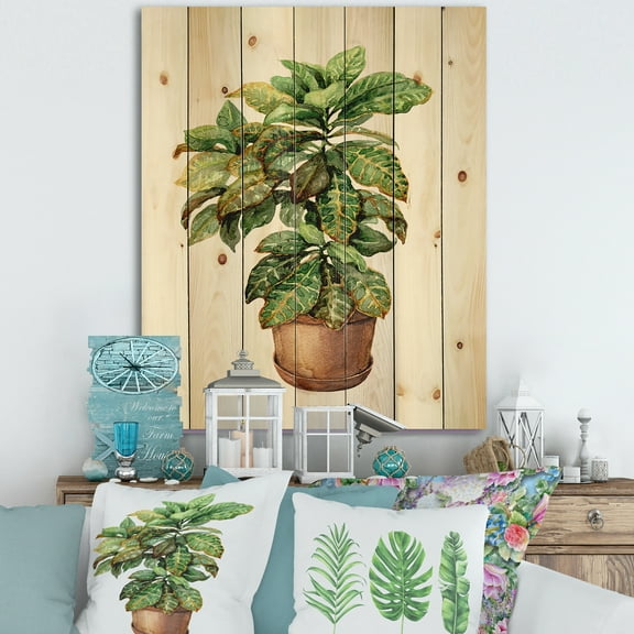 Designart 'Green Croton In Clay Flowerpot' Traditional Print on Natural Pine Wood