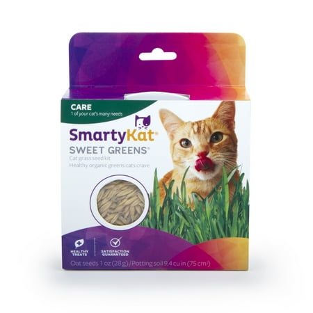 SmartyKat Sweet Greens Kit Cat Grass Grow Kit (Best Way To Grow Grass Quickly)