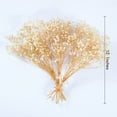 thumbnail image 3 of Preserved Baby's Breath 3 Bunches, 100% Natrual Fresh Gypsophila Long Lasting Flowers for Vase Arrangements Home Decoration Photo Props Parties and Weddings, DIY Décor-White, 3 of 12
