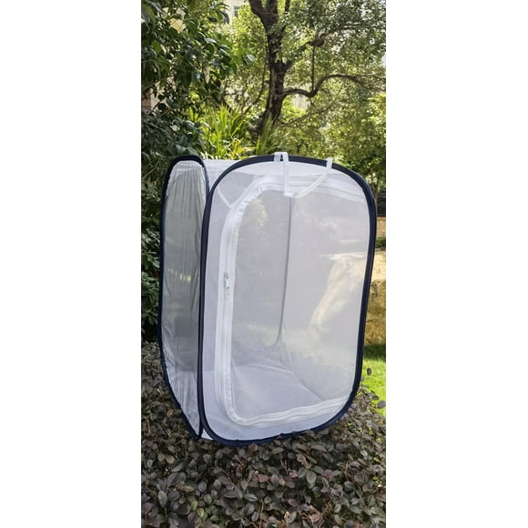 Insect and Butterfly Cage, 40x40x60 Insect Cage, Insect Habitat, Transparent Folding Mesh Cage
