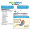 thumbnail image 4 of Probiotics DrFormulas Nexabiotic Multi Probiotic 60 cápsulas, 4 of 9