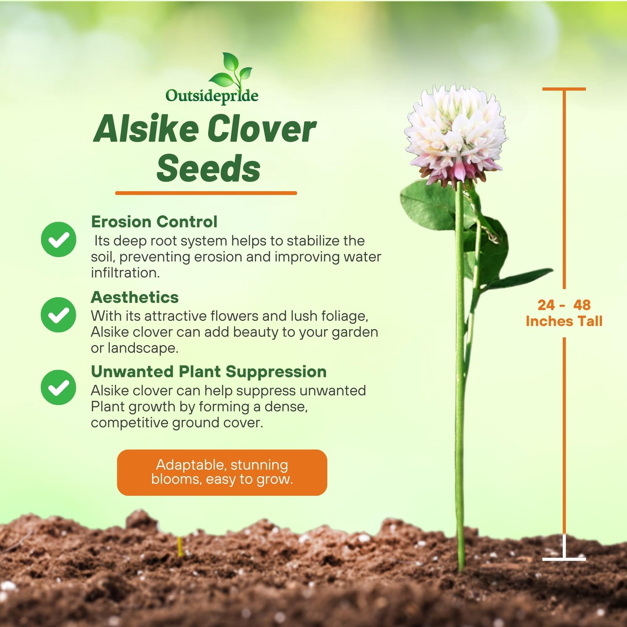 Outsidepride 10 lb. Biennial Alsike Clover Seed for Forage, Hay, Greenchop, & Grazing