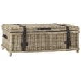 thumbnail image 4 of SAFAVIEH Navarro Rattan Coffee Table Trunk Grey, 4 of 7