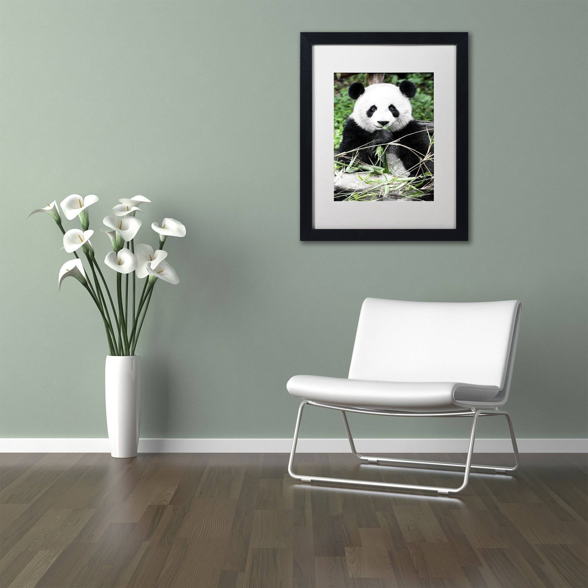 Trademark Fine Art "Giant Panda" Canvas Art by Philippe Hugonnard, White Matte, Black Frame