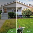 thumbnail image 7 of Thatch Rake, 15-Inch Lawn Thatching Rake, Robust Rake, Steel Metal Rake with Handle, Versatile Grass Grooming Rake, 7 of 7