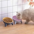 thumbnail image 6 of Monfince Raised Cat Bowls, Tilted Elevated Cat Food and Water Bowls Set, Stress Free Pet Feeder Bowl Dish for Cats and Small Dogs, Pink, 6 of 10
