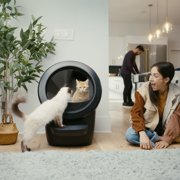 Whisker Litter-Robot 4 Core Bundle, Self-Cleaning Cat Litter Box with Accessories, Black
