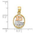 thumbnail image 4 of FB Jewels 14K Two Tone Gold w/White Rhodium CZ 15 Anos Pendant, 4 of 4