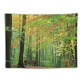 thumbnail image 5 of PRATYUS  Woodland Tapestry, Deciduous Forest Trees in Summertime Foliage Sun Rays Romantic Holidays Scenic Image, Wide Wall Hanging for Bedroom Living Room Dorm, Multi Size, Green Yellow Painting, 5 of 6