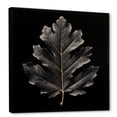 thumbnail image 2 of Designart "Oak Leaf In Black Onyx" Leaves Floater Framed Canvas Wall Art, 2 of 5