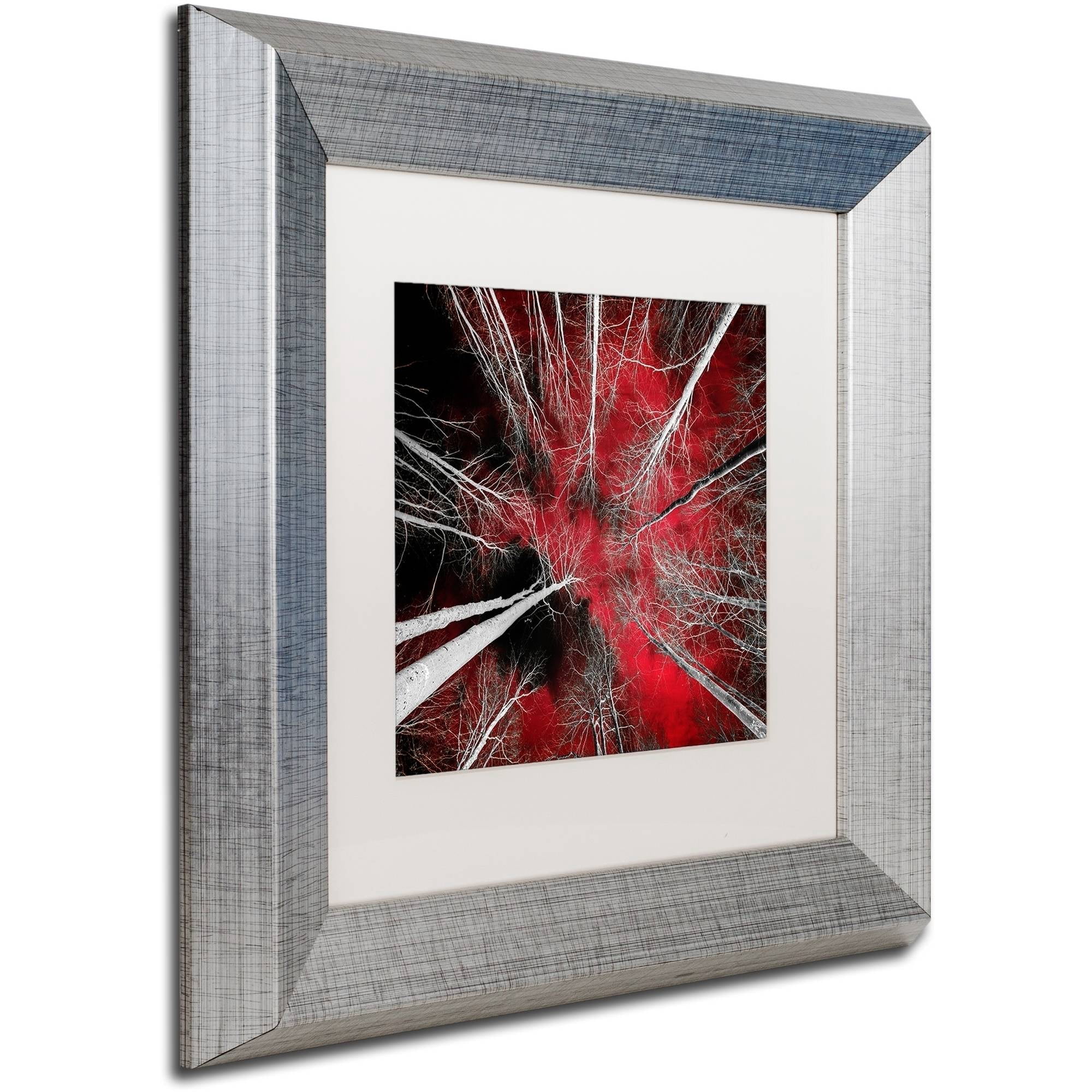 Trademark Fine Art "I Can't Believe It" Canvas Art by Philippe Sainte-Laudy White Matte, Silver Frame