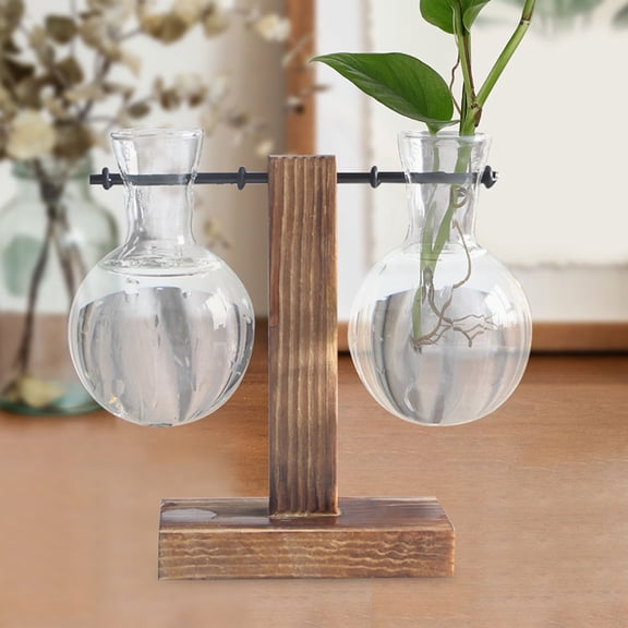 OUNONA Transparent Glass Vases with Wooden Stand for Plants Hydroponic Display High Borosilicate Glass 3