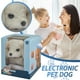 thumbnail image 5 of Peluche de perro simulado | Juguete interactivo para niños que ladra y camina | Peluche de tela suave y segura | Regalo de cumpleaños para niños | Compañero cachorro realista, 5 of 9