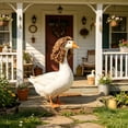 thumbnail image 6 of Porch Goose Wig for 23 Inch Goose Statue, Funny Goose Hairpiece Decoration, Removable Goose Accessories with Elastic Fit, Outdoor Garden Yard Patio Lawn Goose Decor for Seasonal Holiday Display, 6 of 6