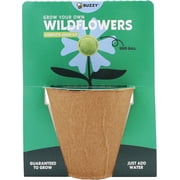 BUZZY Seeds Wildflower Seed Ball Cup 6-Pack – Over 50 Seeds Per Ball, Colorful Decorative Seed Balls in Biodegradable Cups with Growing Medium – Indoor Gardening Gift Set