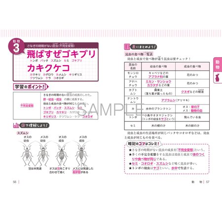 中学受験ゴロ合わせで覚える理科100 ここで差がつく!/宮本毅