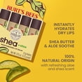 thumbnail image 2 of Bálsamo labial Burt's Bees Shea + Aloe hidratante, paquete de 4, 2 of 8