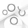 thumbnail image 3 of BodyJewelryOnline 16G 18G 20G Hoop Ring Implant Grade Titanium Hinged Segment Rings Men Women, 3 of 8
