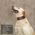 thumbnail image 2 of Didog Sturdy Genuine Leather Dog Collar,Heavy Duty Soft Leather Dog Collar for Medium & Large Dogs, 2 of 12