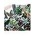 thumbnail image 4 of Chrysal Leafshine Aerosol Spray 25 Ounces Bundled by Evergreen Farm and Garden (3 Pack), 4 of 7