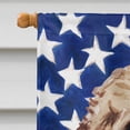 thumbnail image 3 of Carolines Treasures BB9374CHF Brun Cockapoo Patriotique Drapeau Toile Maison Taille, 3 of 4