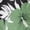 Green Hibiscus, variant on Chririnla Green Hibiscus Print 2 Pieces Outfits for Men,Summer Beach Outfit Button Down Shirts and Shorts Tropical Hawaiian Shirt Shorts with Matching Hats