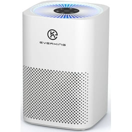 Air purifier for smoke walmart hotsell