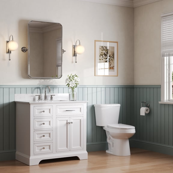 2-Piece 0.8/1.28 GPF Dual flush Elongated ADA Seat Height Toilet in White Map Flush 1000 g, Quiet-Close Seat Included