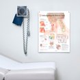 thumbnail image 2 of Laminated Medical Poster Understanding The Head and Neck 22"x28" Wall Diagram Educational Informational Doctors Office Chart, 2 of 2