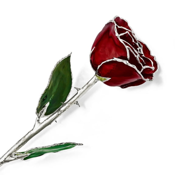Lacquer Dipped Silver Trim Burgundy Rose