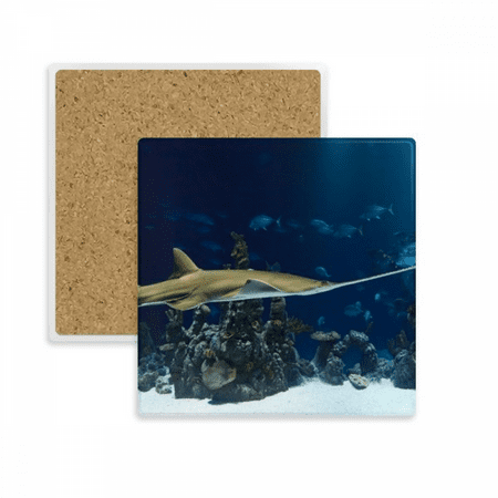 

Ocean Ray Skate Science Nature Picture Square Coaster Cup Mat Mug Subplate Holder Insulation Stone