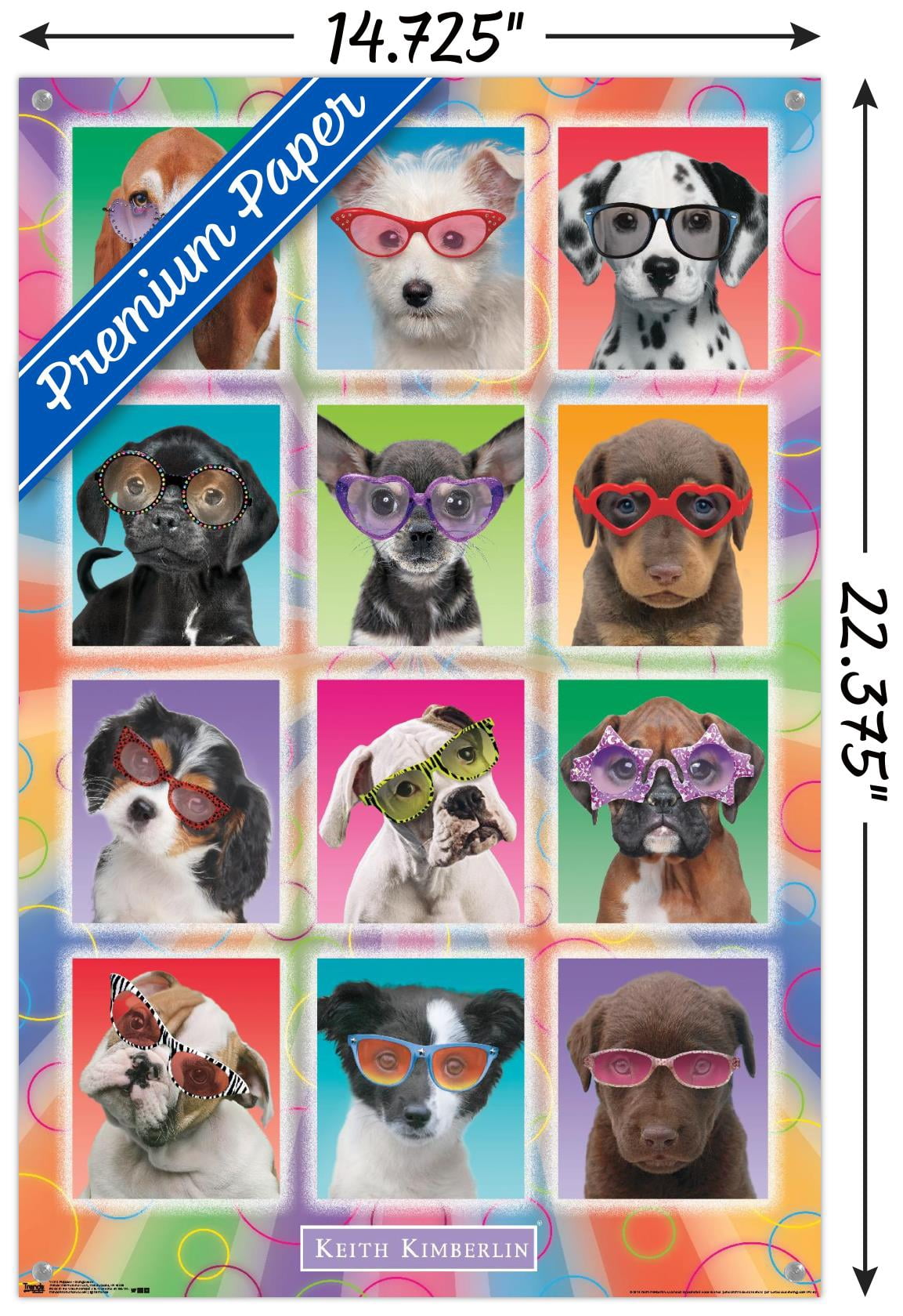 Keith Kimberlin - Puppies - Sunglasses Wall Poster with Push Pins, 14.725" x 22.375"
