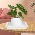 thumbnail image 4 of Luxshiny 6Ud Bandejas Plásticas Para Plantas Con Para Y Protección De Superficies, 4 of 7