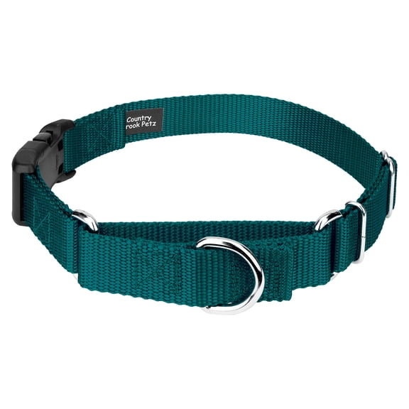 Country Brook Petz Heavy Duty Nylon Martingale Dog Collar with Plastic Buckle for Adjustable Small Medium Large Breeds - 30+ Vibrant Color Options (1 Inch, Medium, Teal)
