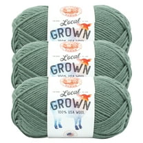 Lion Brand Yarn Local Grown Sagebrush Medium Wool Yarn 3 Pack
